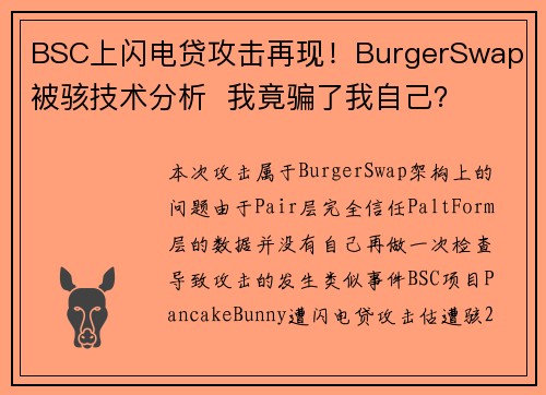 BSC上闪电贷攻击再现！BurgerSwap 被骇技术分析  我竟骗了我自己？