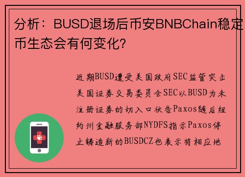 分析：BUSD退场后币安BNBChain稳定币生态会有何变化？